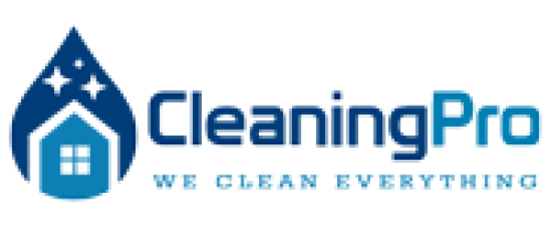 Carpet Cleaning Pro